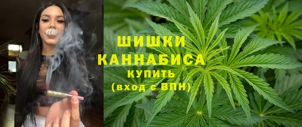 соль ск Арсеньев