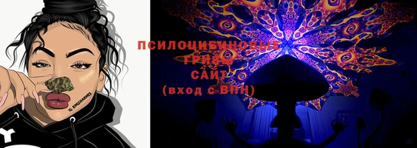 соль ск Арсеньев